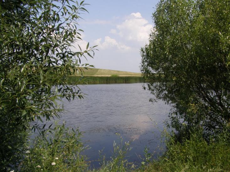 Пінчуки з panoramio.com - Пинчуки