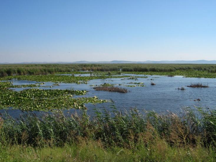 Нова Некрасівка з panoramio.com - Nova Nekrasivka