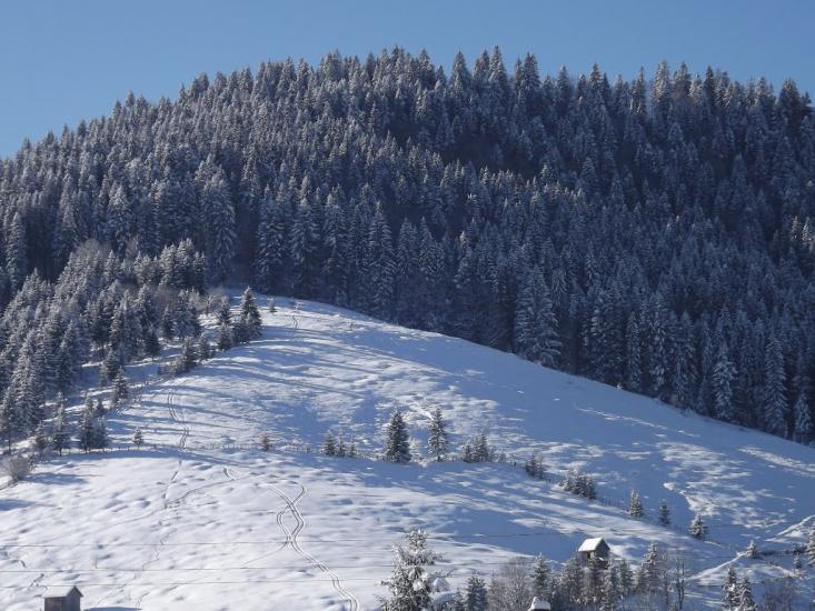 Руська з panoramio.com - Ruska