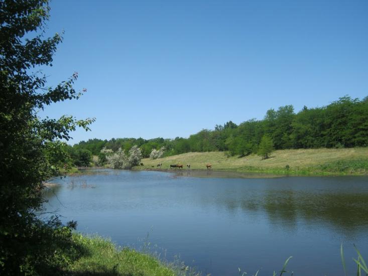 Христофорівка з panoramio.com - Христофоровка