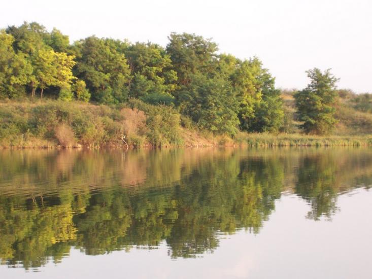 Нижньокринське з panoramio.com - Нижньокринське
