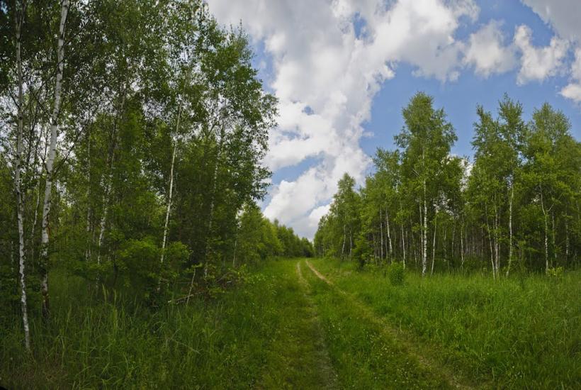 Верхобуж з panoramio.com - Верхобуж