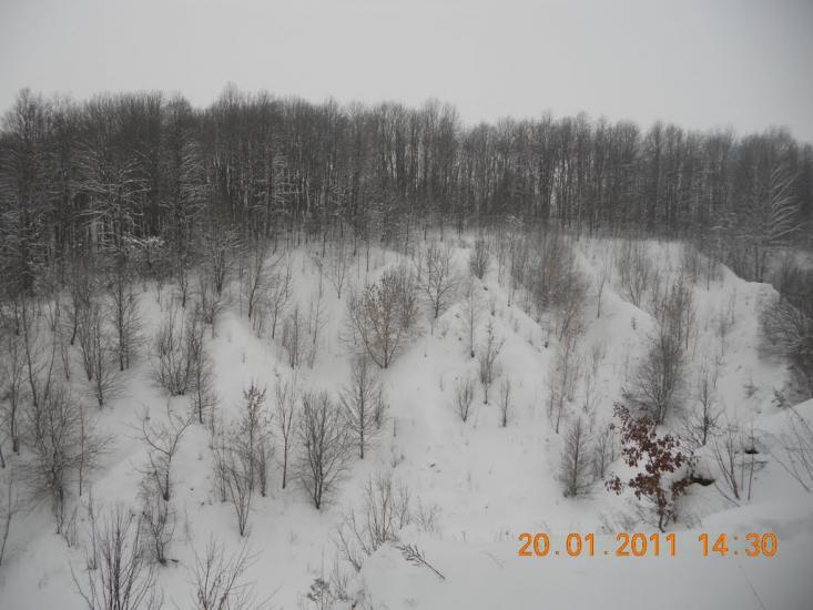 Могриця з panoramio.com - Mogrytsya