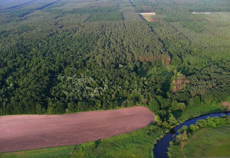 Бушеве з panoramio.com - Busheve