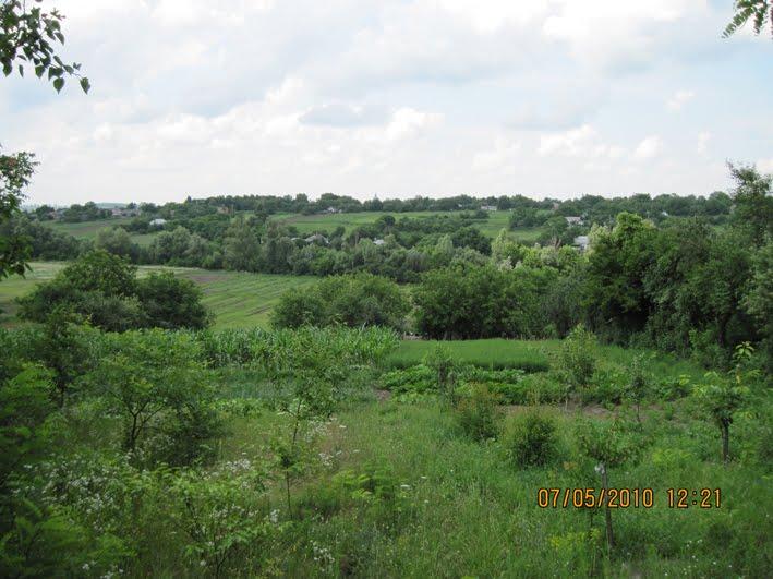 Вербівка з panoramio.com - Вербовка