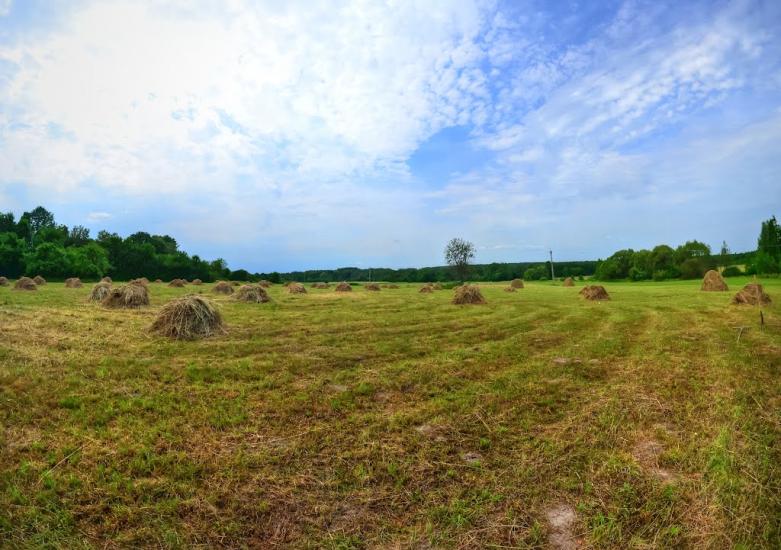 Тополівка з panoramio.com - Тополівка