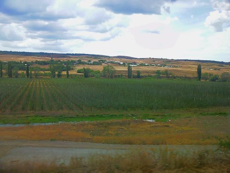 Стальне з panoramio.com - Стальне