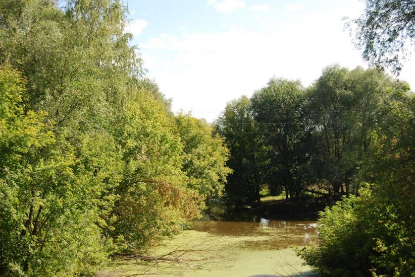 Ждани з panoramio.com - Ждани