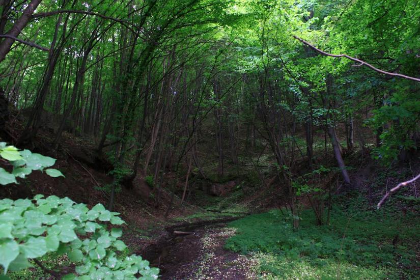 Головенка з panoramio.com - Головенка