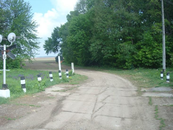 Нестерівці з panoramio.com - Нестеровцы
