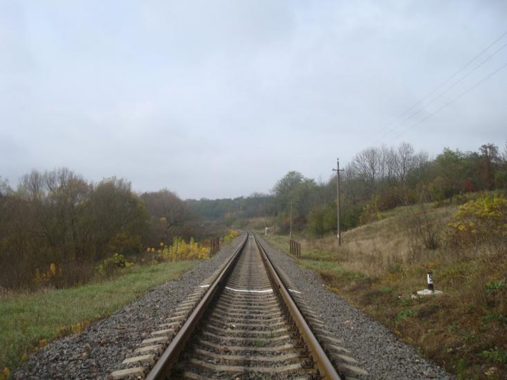 Кузьминчик з panoramio.com - Кузминчик