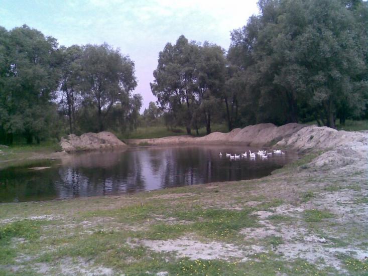 Любитове з panoramio.com - Любитово