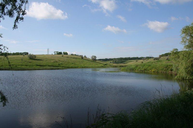 Сад з panoramio.com - Сад