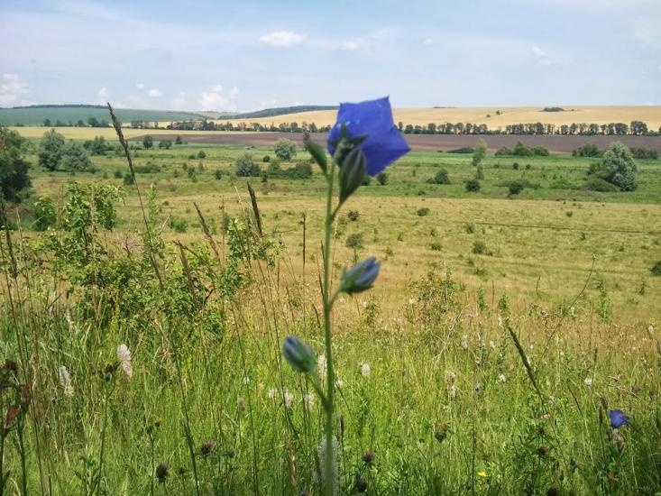 Новоукраїнка з panoramio.com - Новоукраїнка