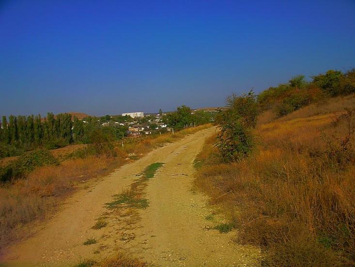 Каштани з panoramio.com - Каштани