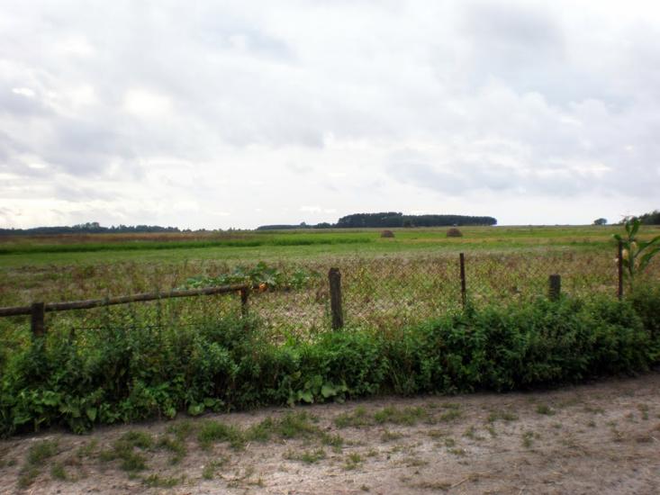 Облапи з panoramio.com - Oblapy