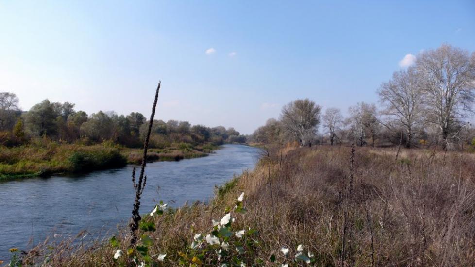 Синичине з panoramio.com - Синичине