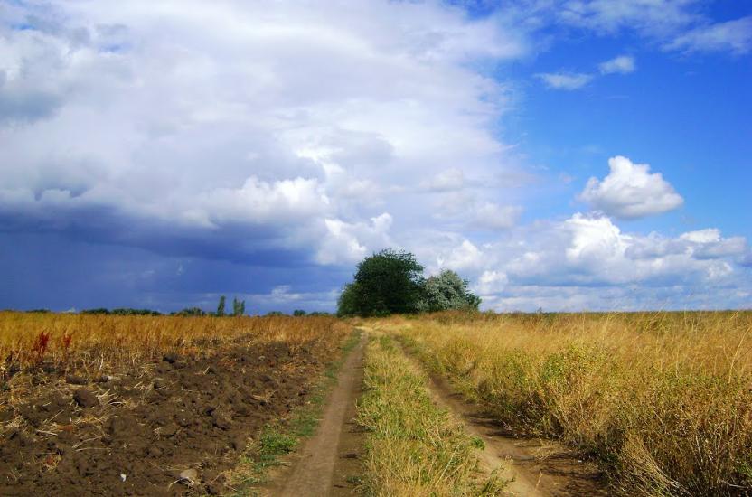 Великий Дальник з panoramio.com - Velykyy Dalnyk
