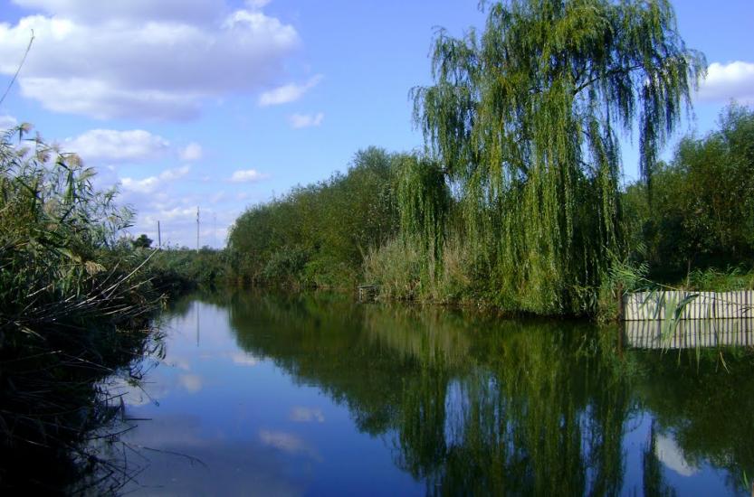Великий Дальник з panoramio.com - Velykyy Dalnyk