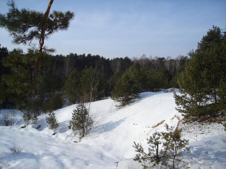 Турійськ з panoramio.com - Турийск