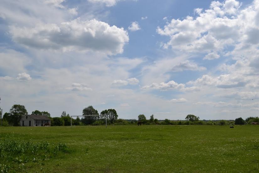 Облапи з panoramio.com - Oblapy