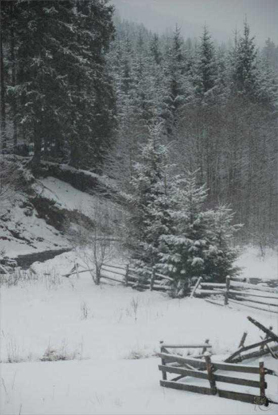 Згари з panoramio.com - Згары