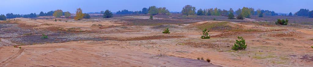 Кицівка з panoramio.com - Кицевка