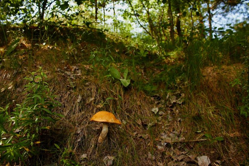 Іванів з panoramio.com - Иванов