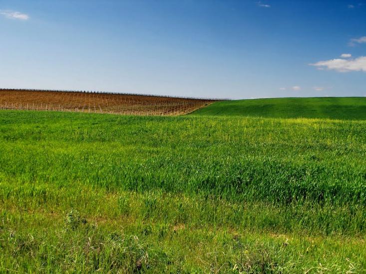 Пироговка з panoramio.com - Пироговка