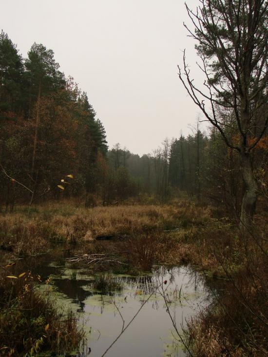 Миропіль з panoramio.com - Мирополь