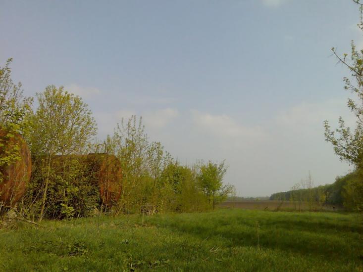 Пашківці з panoramio.com - Пашковцы