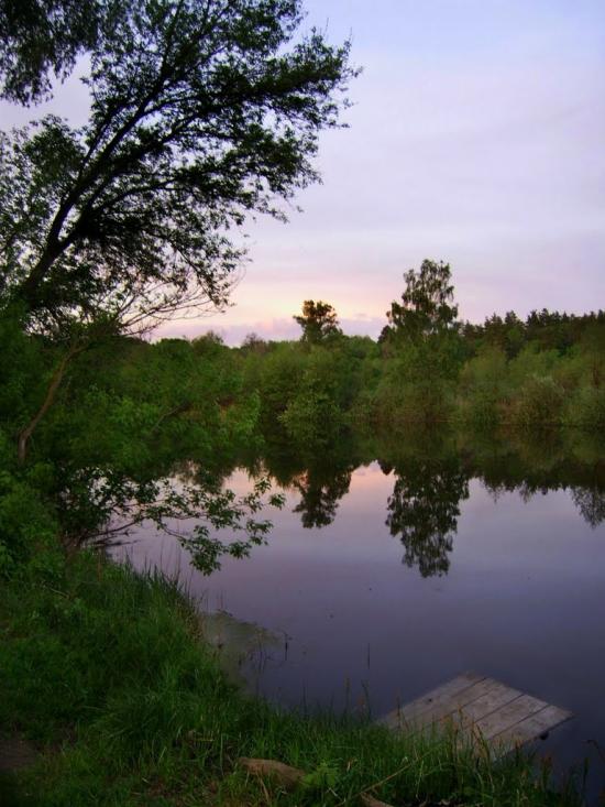 Пелюхівка з panoramio.com - Пелюхівка
