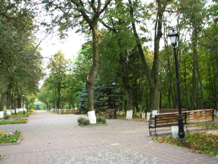 Сковородинівка з panoramio.com - Сковородинівка