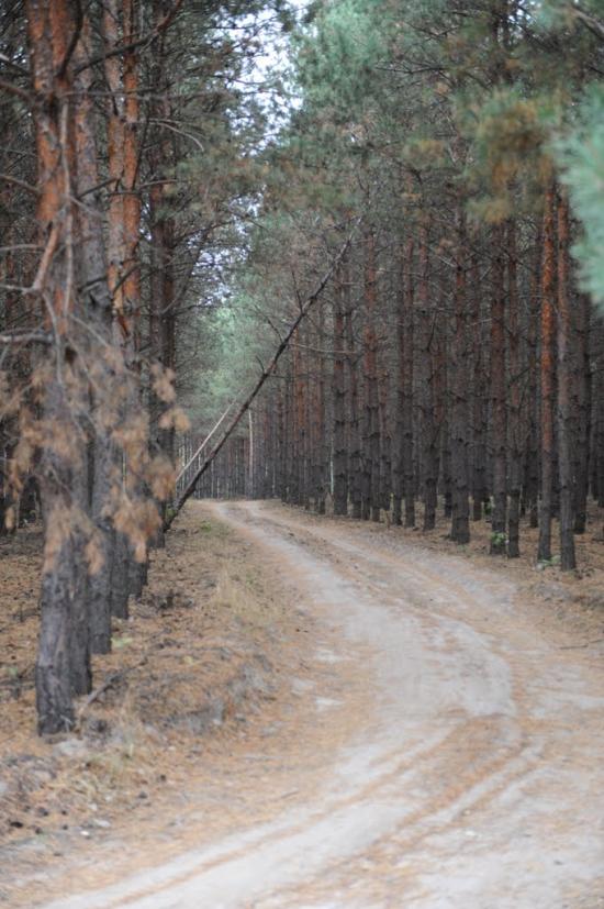 Заріччя з panoramio.com - Заречье
