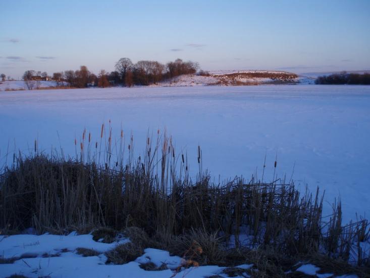 Рогізне з panoramio.com - Рогозное