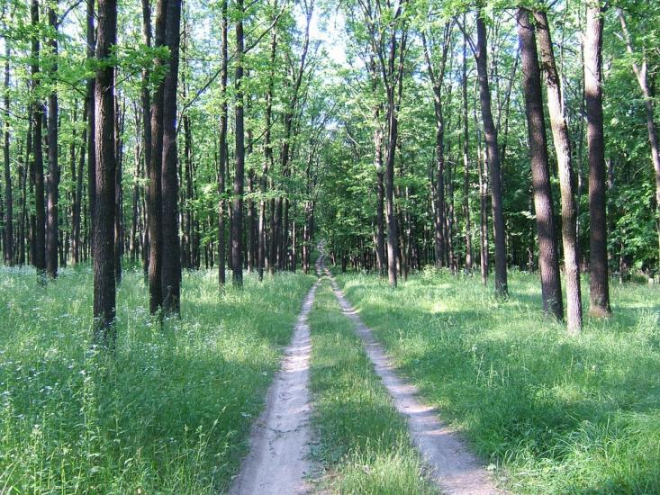Пісочин з panoramio.com - Пісочин