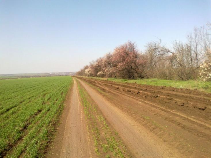 Новгородське з panoramio.com - Новгородське