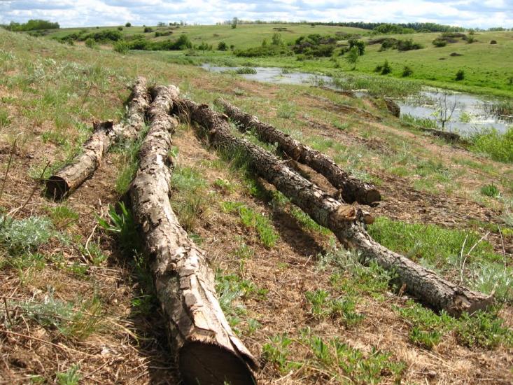 Валове з panoramio.com - Софіївка