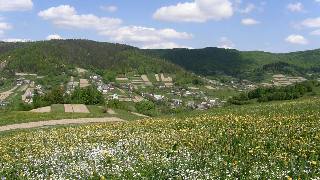 Чорний Потік - Чорний Потік