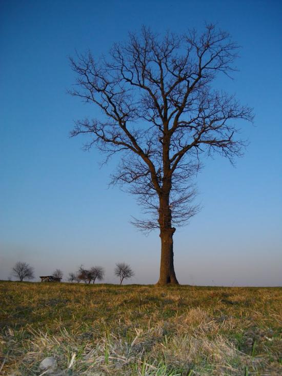 Озеро з panoramio.com - Озеро