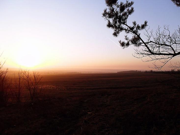 Новгородське з panoramio.com - Новгородське