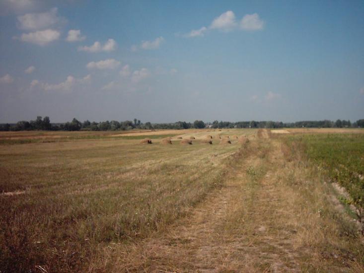 Любомль з panoramio.com - Любомль