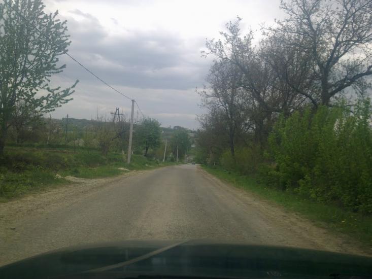 Рингач з panoramio.com - Рингач