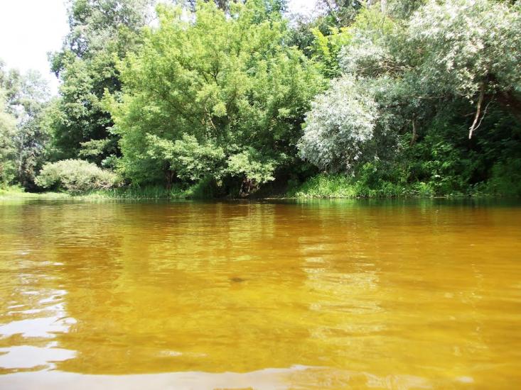 Лабурівка з panoramio.com - Лабурівка