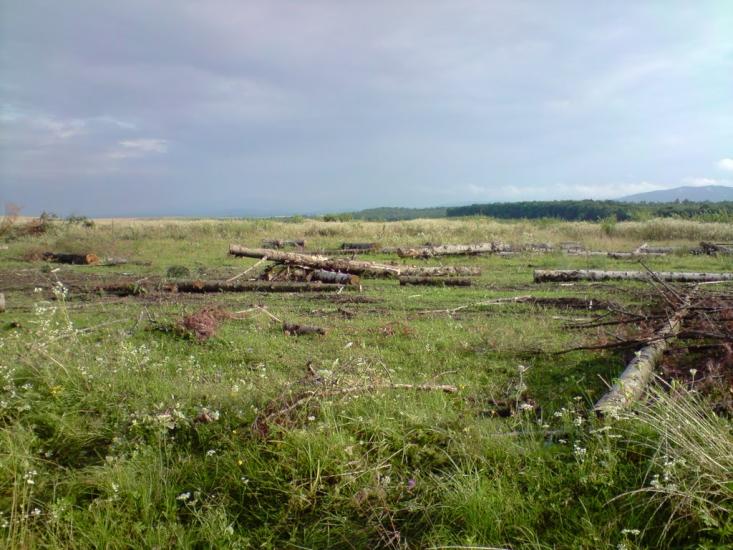 Болозів з panoramio.com - Болозів