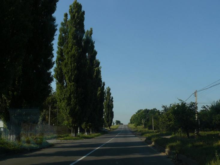 Павлиш з panoramio.com - Павлыш