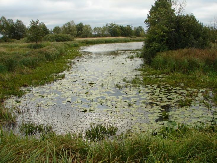 Неданчичі з panoramio.com - Nedanchychi