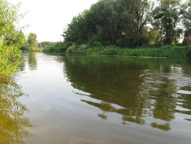 Рокитне з panoramio.com - Ракитное