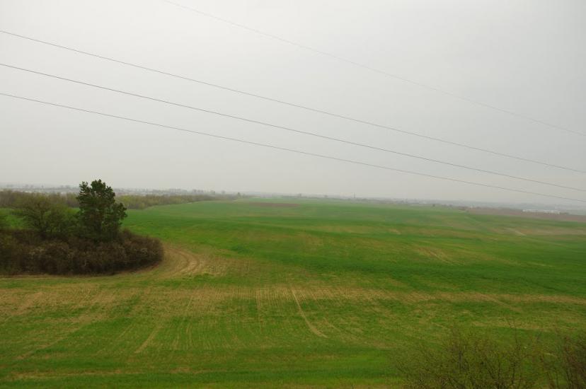 Кустин з panoramio.com - Кустин