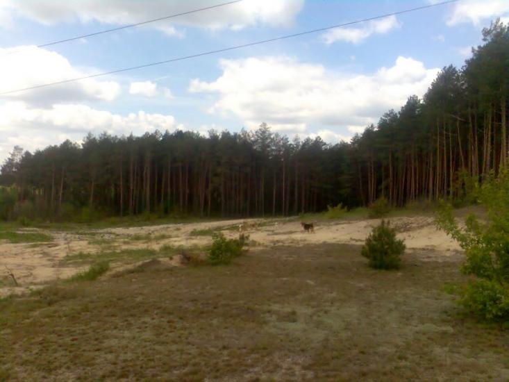 Радивилів з panoramio.com - Радивилов